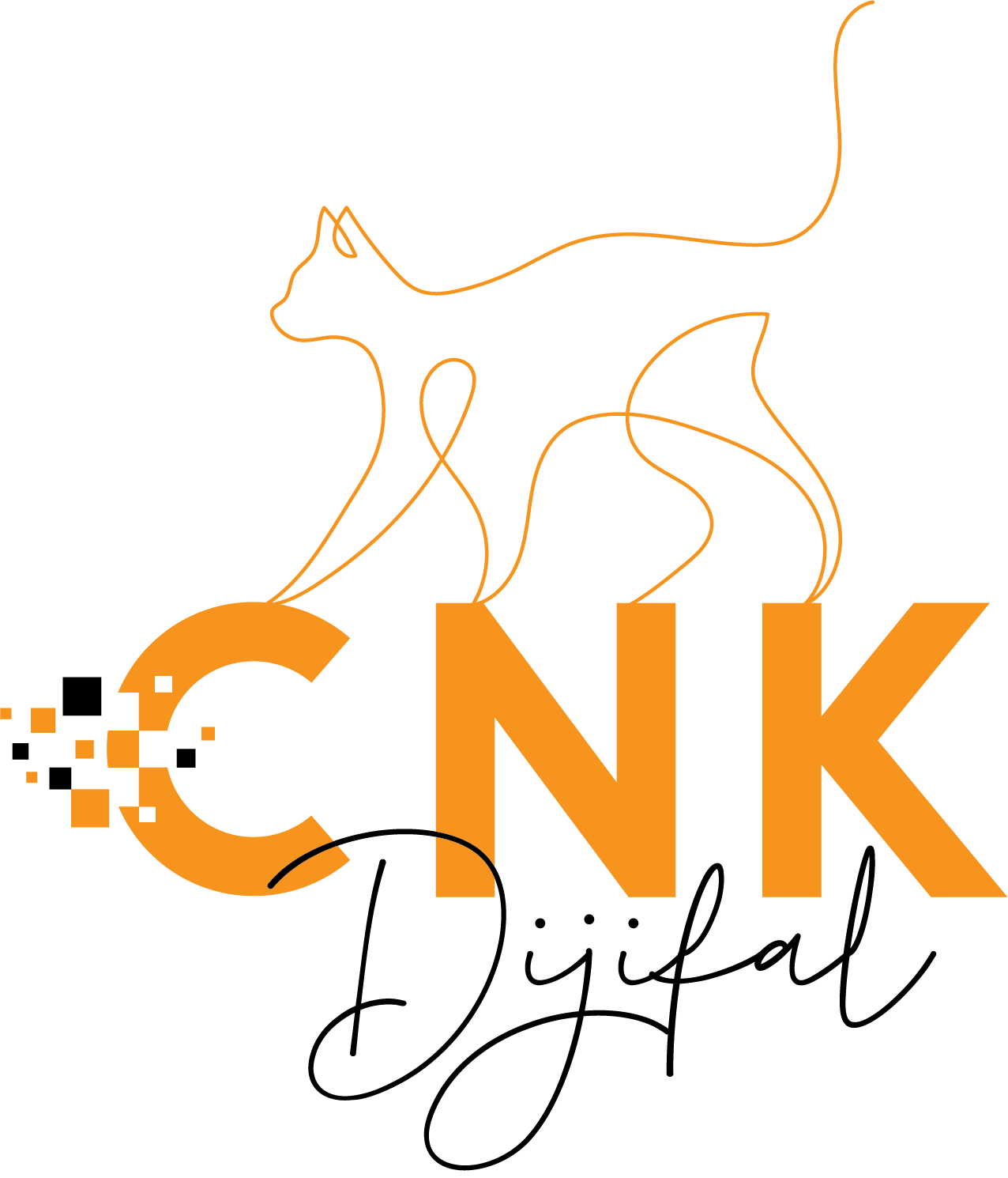 |cnkdijital.com.tr|